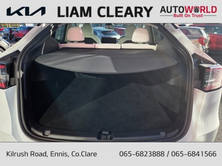 2023 Tesla Model Y - thumbnail 16