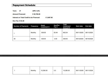 2025 BYD ATTO 3 - view 2