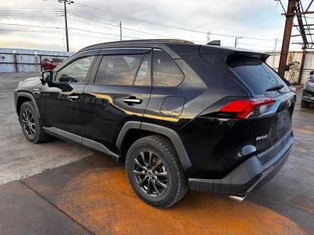 2020 Toyota Rav4 - photo 6