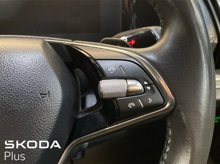 2024 Skoda Kodiaq - thumbnail 23
