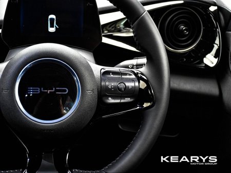 2026 BYD Dolphin - thumbnail 19