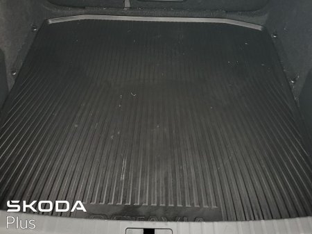 2023 Skoda Octavia - thumbnail 10