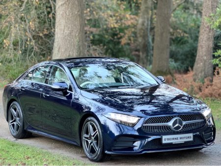 2019 Mercedes-Benz CLS Class - thumbnail 5