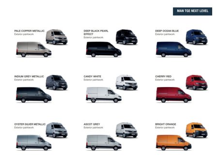 2026 MAN TGE Panel VAN thumbnail