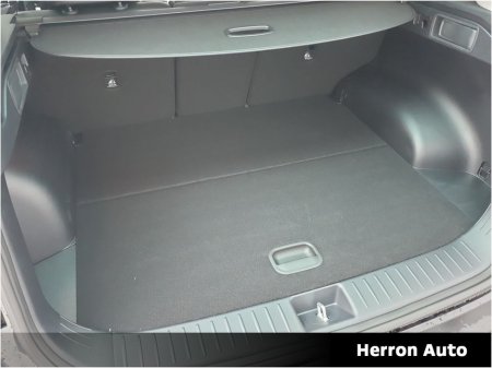 2026 Kia Sportage - thumbnail 14