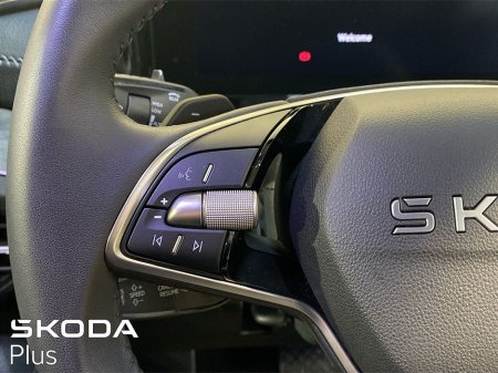 2025 Skoda Kodiaq - thumbnail 22