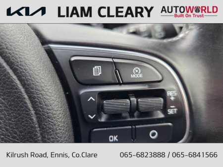 2018 Kia Sportage PLATINUM S 5DR €18,495 thumbnail