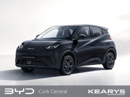 2026 BYD Dolphin Surf for sale