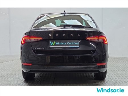 2023 Skoda Octavia - thumbnail 11