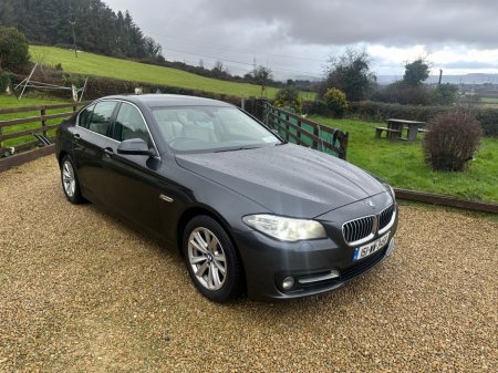 2015 BMW 5 Series D F10 SE 4DR AUTO €10,950 thumbnail