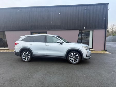 2024 Skoda Kodiaq SE L TDI S-A DSG €47,995 thumbnail