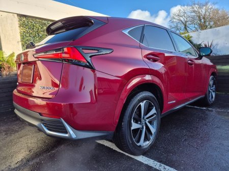 2020 Lexus NX 300 h - thumbnail 6