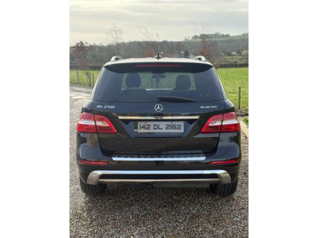 2014 Mercedes-Benz M Class - thumbnail 5