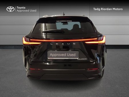 2024 Lexus NX 300 h - photo 4