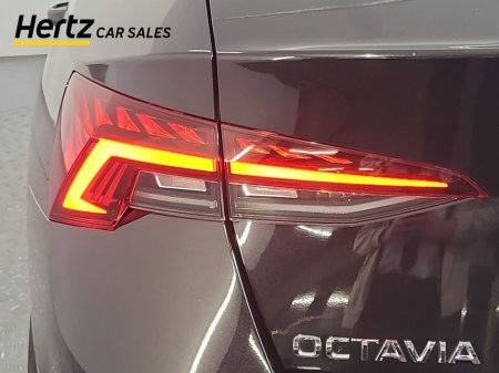 2024 Skoda Octavia - thumbnail 8