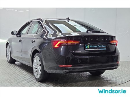 2023 Skoda Octavia - thumbnail 15