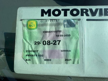2021 Kia Niro - thumbnail 20