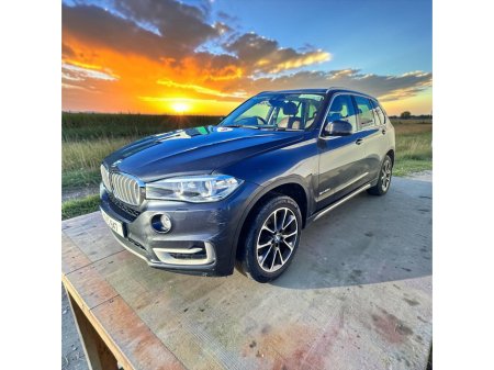 2017 BMW X5 - thumbnail 9