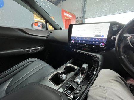 2022 Lexus NX 350h - thumbnail 19