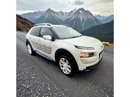 2017 Citroen C4 Cactus 1.2 PureTech 75 Touch €9,888 thumbnail