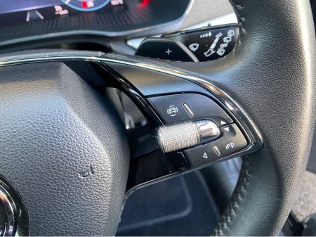 2024 Skoda Octavia - thumbnail 17