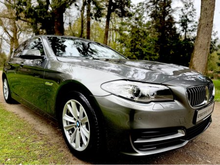 2015 BMW 5 Series - thumbnail 2