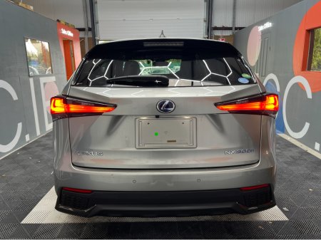 2020 Lexus NX 350h - photo 3