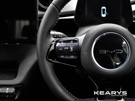 2025 BYD Dolphin - thumbnail 13