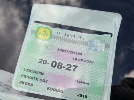 2019 Skoda Kodiaq - photo 6