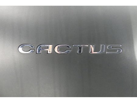 2017 Citroen C4 Cactus - thumbnail 20