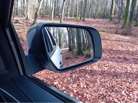 2021 Ford Ranger D/CAB WILDTRAK  2.0 TDCI BI-TURBO  213BHP. @ REDDY2DRIVE LTD €33,850 thumbnail