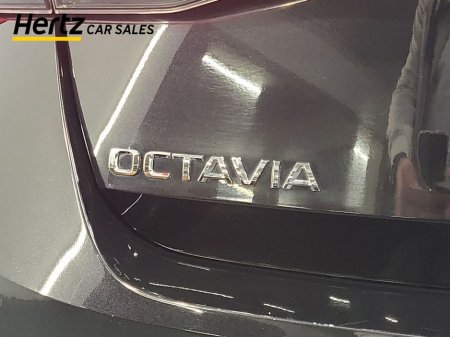 2024 Skoda Octavia - thumbnail 11