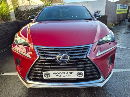 2020 Lexus NX 300 h - thumbnail 4