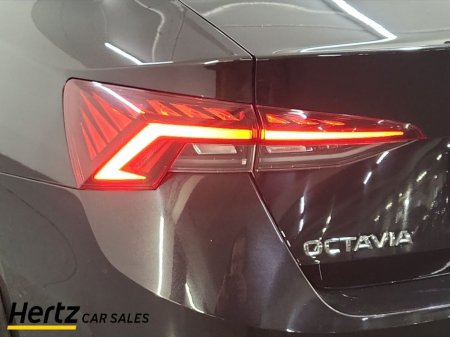 2024 Skoda Octavia - thumbnail 8