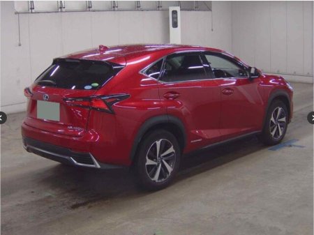 2019 Lexus NX 300 h - thumbnail 4
