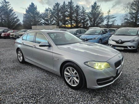 2015 BMW 5 Series - thumbnail 1