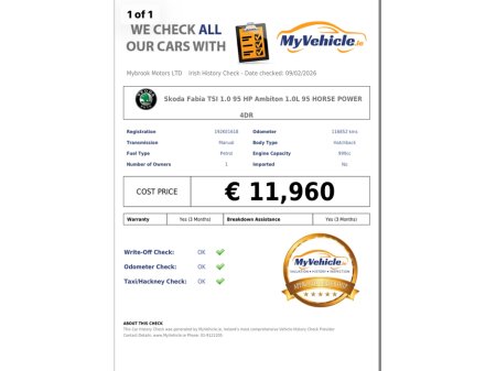 2019 Skoda Fabia AMBITON 1.0 TSI 95BHP 4DR €11,960 thumbnail