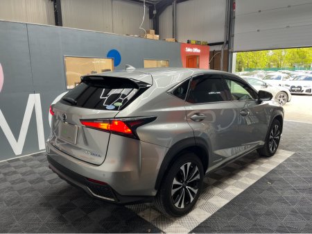 2020 Lexus NX 350h - photo 2