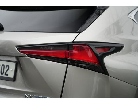 2018 Lexus NX 300 h - thumbnail 9