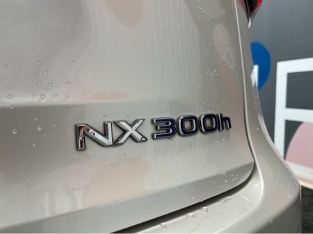 2020 Lexus NX 300 h - thumbnail 7