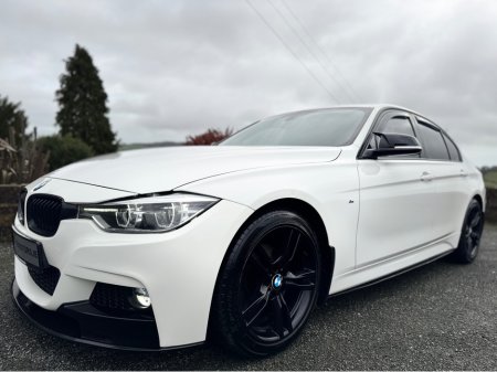 2017 BMW 3 Series ALPINE WHITE 318D MSPORT AUTO €17,950 thumbnail
