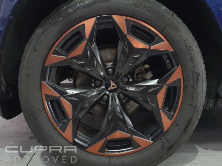 2025 Cupra Terramar - thumbnail 6