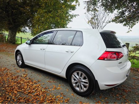 2016 Volkswagen Golf 1.6 TDI S BLUEMOTION 110PS 5DR From €57 P/W