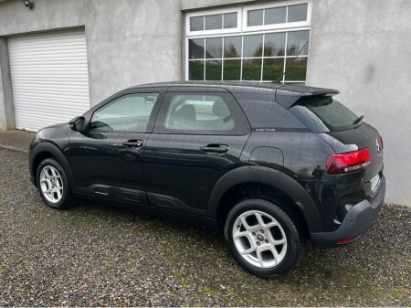 2019 Citroen C4 Cactus - thumbnail 9
