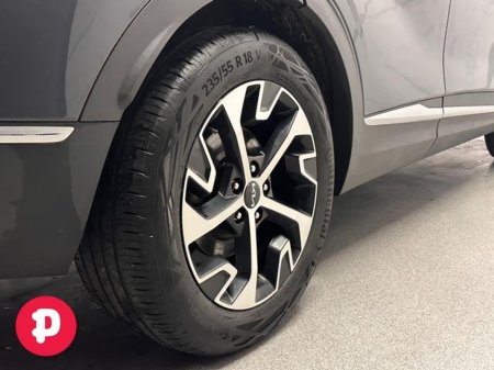 2023 Kia Sportage - thumbnail 18