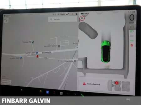 2022 Tesla Model Y - thumbnail 20