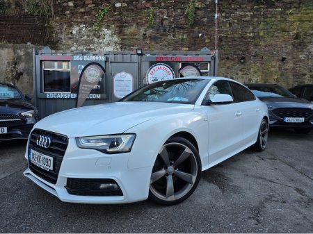 2014 Audi A5 2.0 Tdi 177 Bhp S-Line Black Edition 2014 €13,950 thumbnail