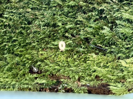 2018 Volkswagen Touareg D R-LE 3.0 TDI 4M 286HP 5DR AUTO €52,950 thumbnail