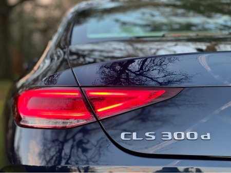 2019 Mercedes-Benz CLS Class - thumbnail 42