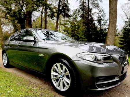 2015 BMW 5 Series - thumbnail 36
